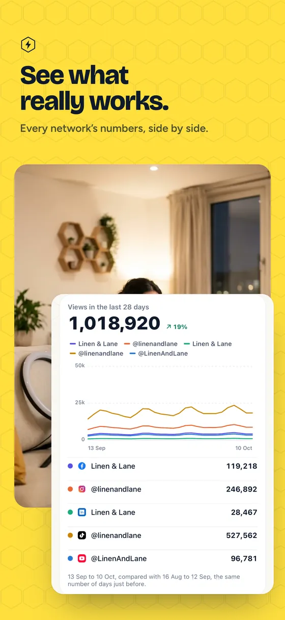 The Hivenza app's analytics: every network's numbers side by side, over 28 days.